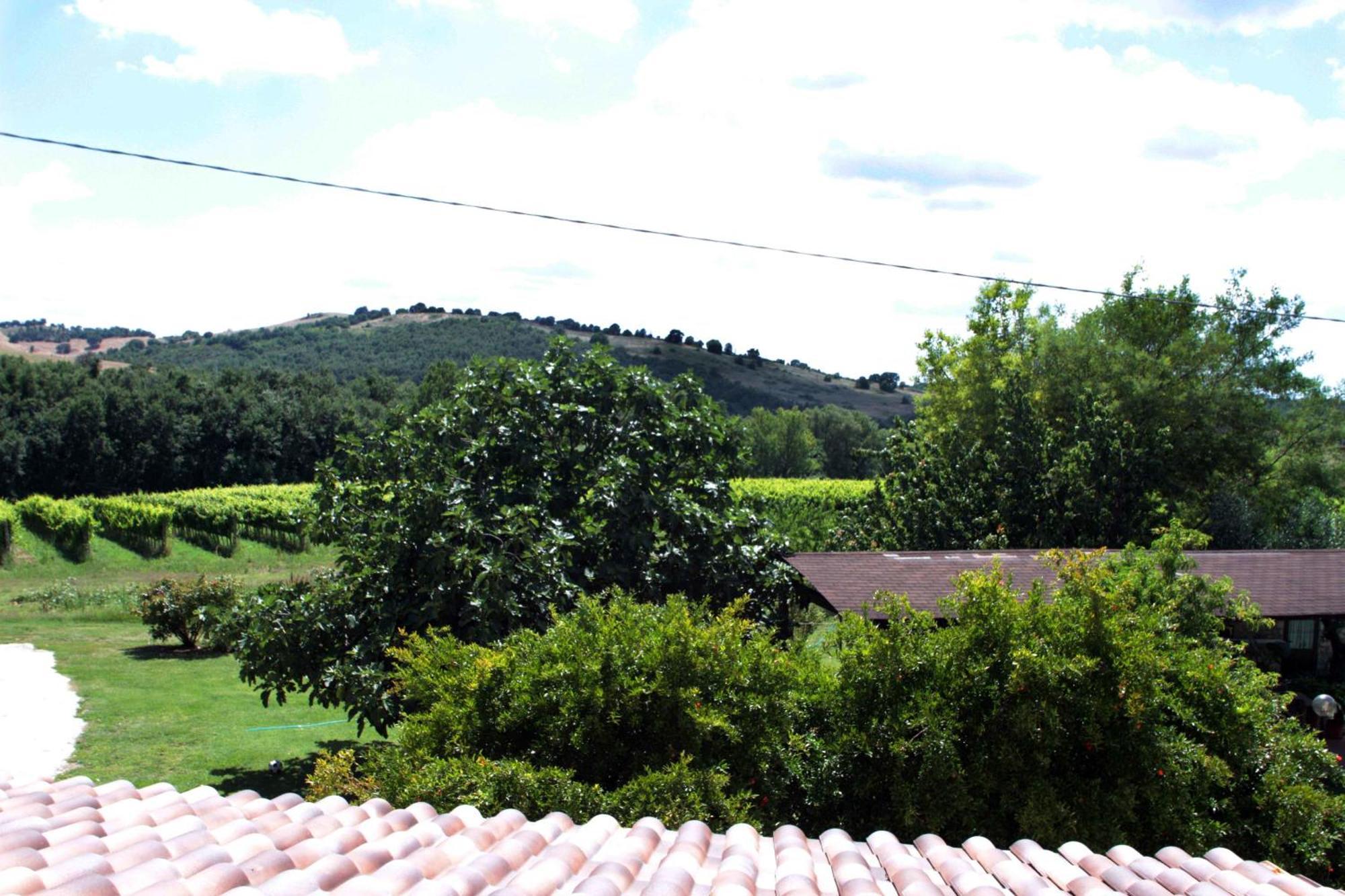 Agriturismo La Vecchia Quercia Montemerano Dış mekan fotoğraf